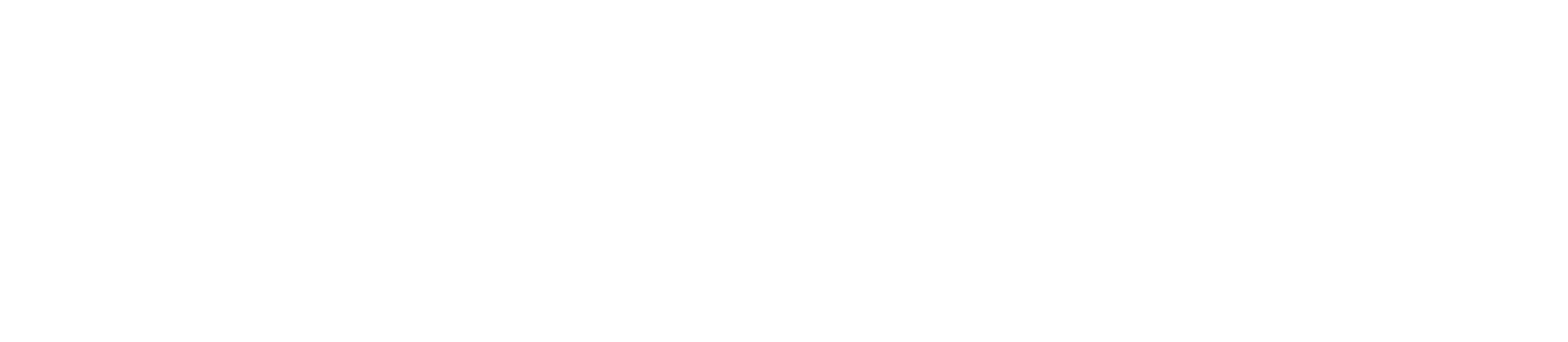 Essentials Logo